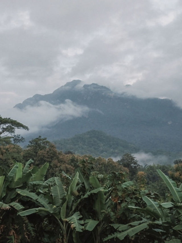 Onenueng วันหนึ่ง..ที่..เชียงดาว ⛰️🧡