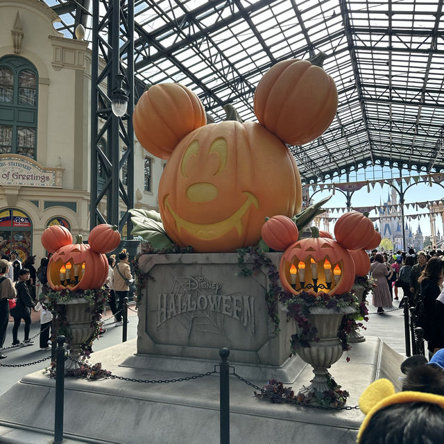 ディズニーランド