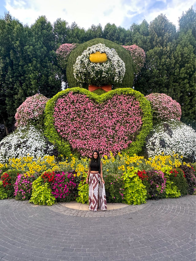 A Flowering Oasis in the Desert