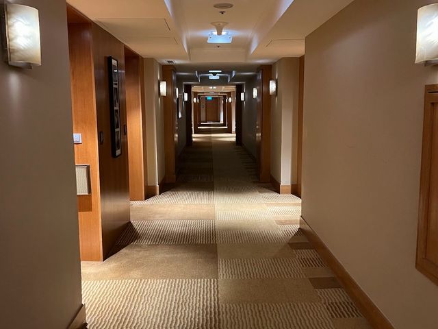 新加坡君悅酒店 Grand Hyatt Singapore