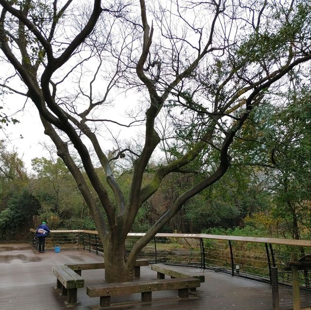 通天閣とサバンナの野生動物が一緒に楽しめる　天王寺動物園