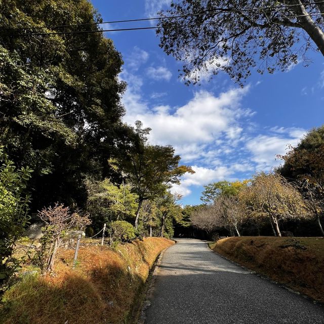 Day trip to Arashiyama- Japan