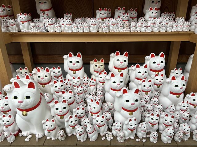 【豪徳寺】招き猫に囲まれるしあわせ♡