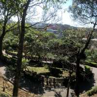 長庚養生文化村（有隱藏版櫻花木棧道八重櫻）