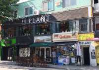 首爾素食探店 | Plant Cafe