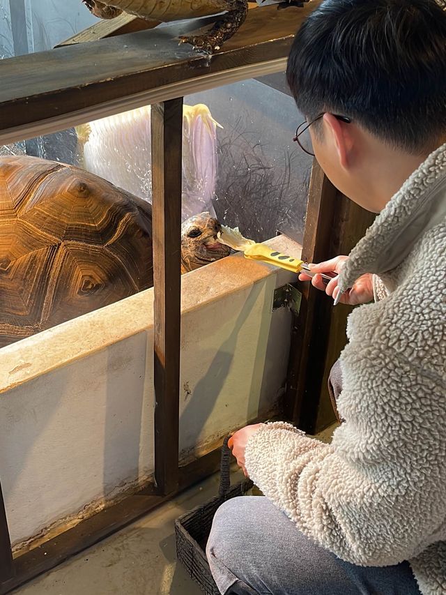 강회도 데이트코스 추천 💗 실내 동물원 같이 가요!