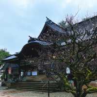 【石川】ステンドグラスが美しい神社⛩️
