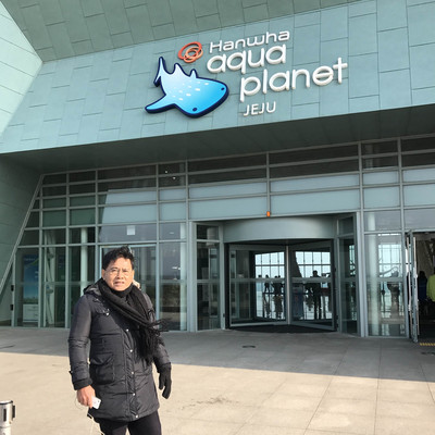 largest aquarium in Asia Aqua Planet jeju Trip Seogwipo