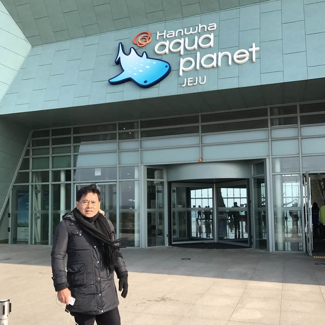 largest aquarium in Asia - Aqua Planet jeju