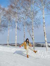 비에이 버스투어의 첫번째 코스, 패치워크로드 ⛄️