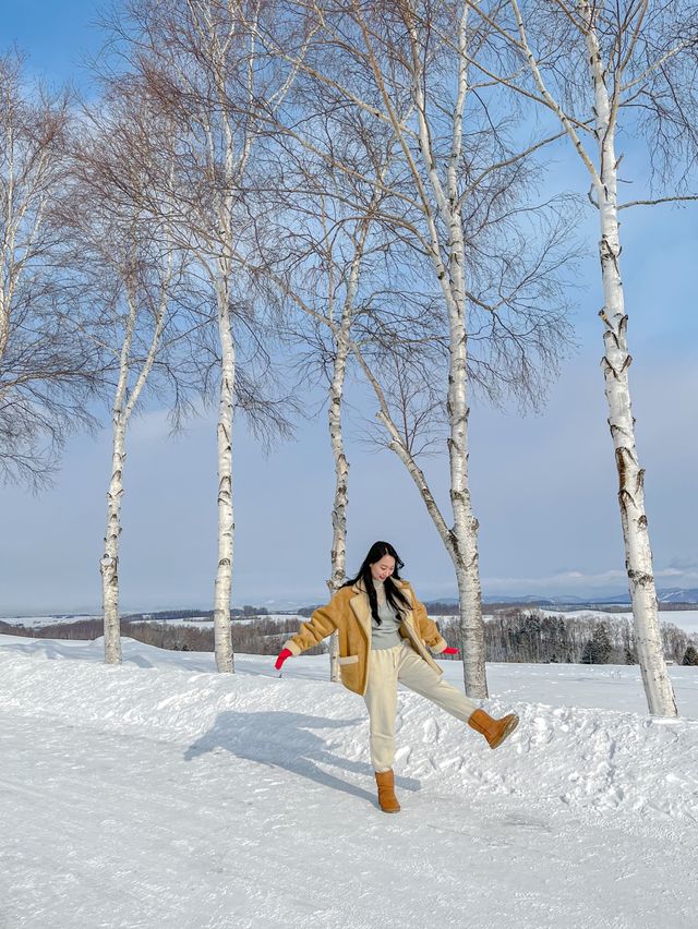 비에이 버스투어의 첫번째 코스, 패치워크로드 ⛄️