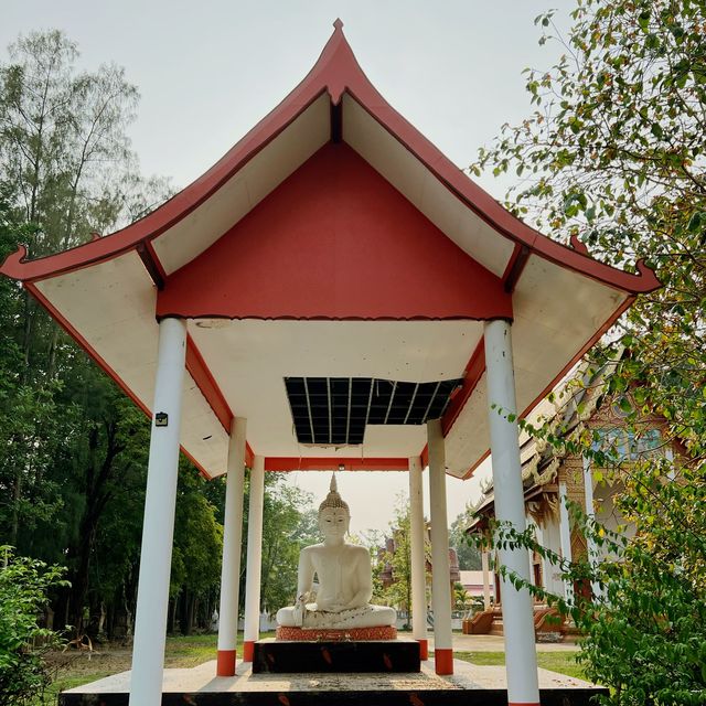 ไหว้พระทำบุญ วัดศุภาลัย