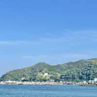 伊東ドライブ