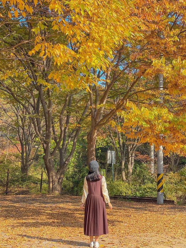 목장 체험이 가능한 화성시 카페 추천!