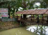 สวนป้านุชลุงเปีย ชิมทุเรียนสาลิกาถึงสวน ของดีพังงา