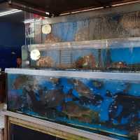 台湾の漁荘海鮮餐庁
