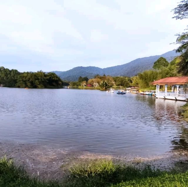 A Perfect Recreation Park in Taiping 