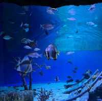  Underwater World Pattaya 🐠🐠💦