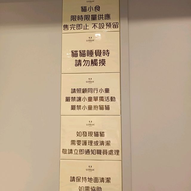 貓奴必去cafe