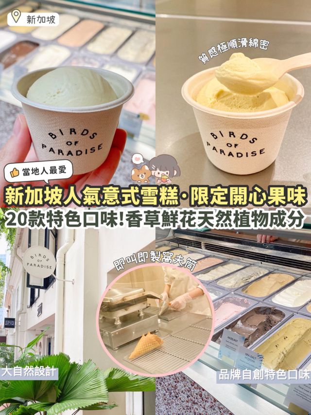 《新加坡世一Gelato雪糕🍨｜開心果特別口味💚》