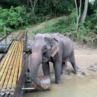ริเวอร์แคว จังเกิ้ลราฟท์ กาญจนบุรี