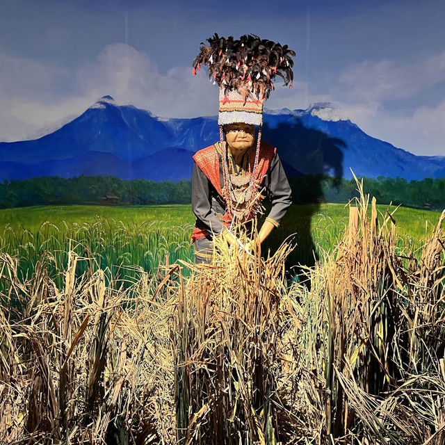 Learn about local customs at Muzium Adat Learn about local customs at Muzium Adat