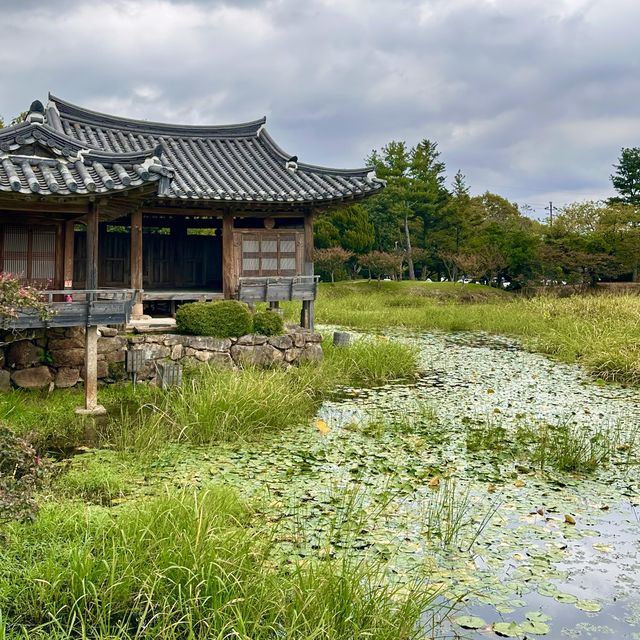 📖 신라의 역사가 담긴 평화로운 서출지 산책여행을 떠나보세요! 💚