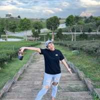 ไร่ชาฉุยฟง 🍃🌱🌿🍃