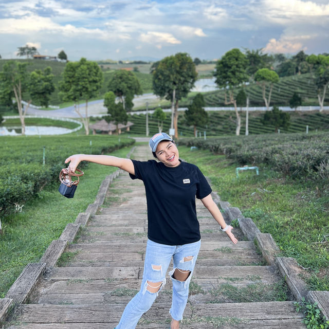 ไร่ชาฉุยฟง 🍃🌱🌿🍃