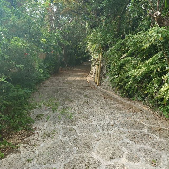 16世紀から残る風情ある石畳道！「金城町石畳道」