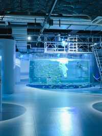 【神戸】絶対行きたい！アート×アクアリウムの美しすぎる水族館🐟
