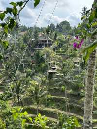 Tegalalang terraced fields - Bali