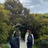 Hooker Valley Track!