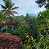 Ubud Village Waterfall and Kintamani Towr