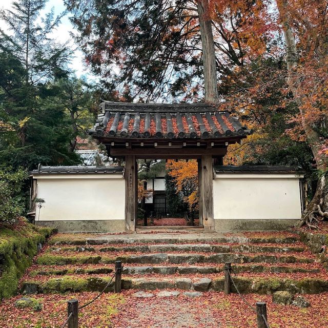 地藏院：南投埔里鎮佛教寺院，禪林和圖書館