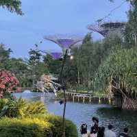 Gardens by the Bay