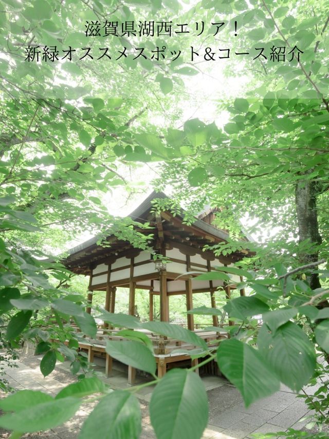 【初夏の新緑を味わおう！🌿】滋賀県・湖西エリアの新緑オススメスポット紹介&コース紹介！🚃✨