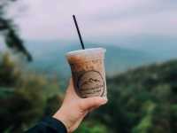 ผาเมืองคอฟฟี่ กาแฟ 2 ฝั่งแดน