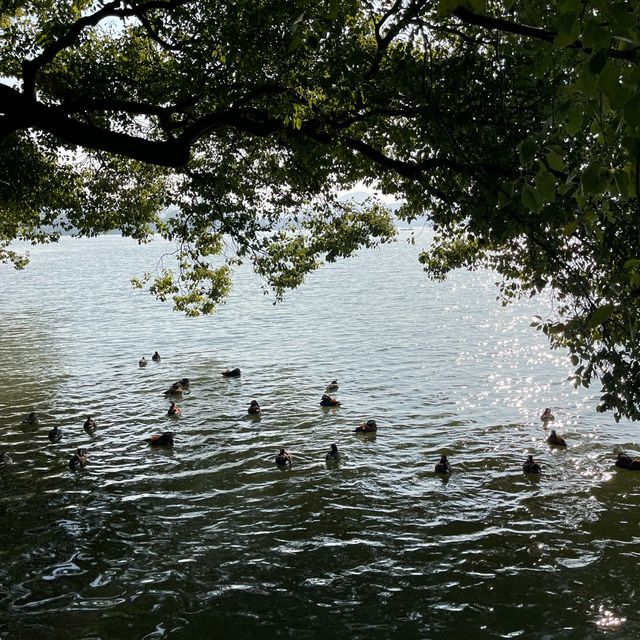 Romantic place await at dusk @ West lake, Hangzhou 