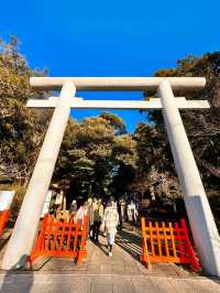 2024年初詣⛩🐉🎍