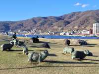ทะเลสาบทางของเทพเจ้า Lake Suwa  จ.นากาโนะ
