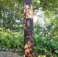 จุดชมวิว Taipei 101 - Xiangshan Elephant Moutain