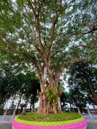 วัดเฉินก๊วก (Tran Quoc) 🇻🇳