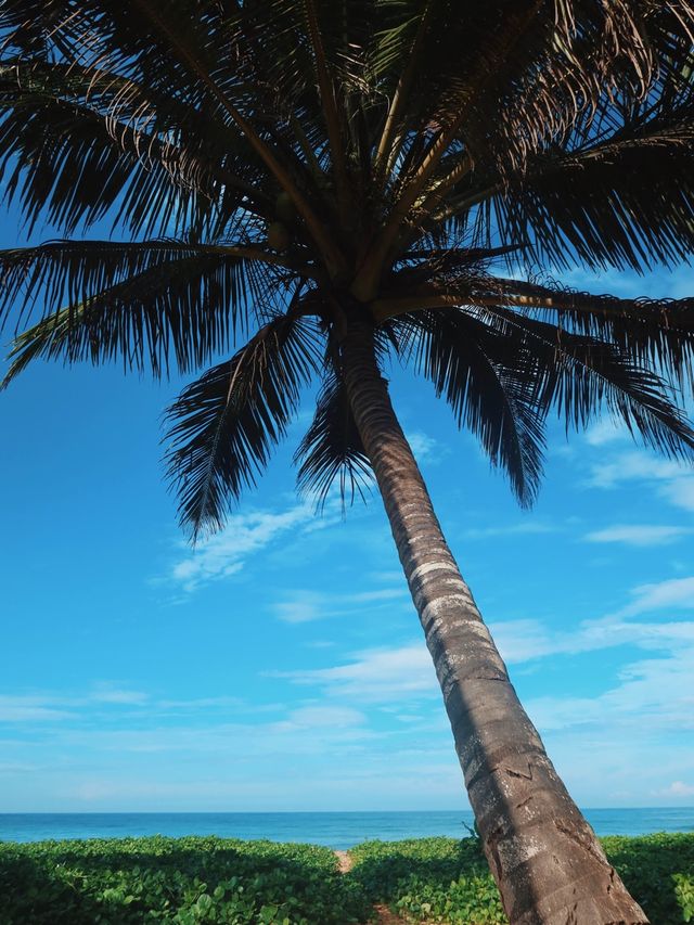 Beaches of Southern Province, Sri Lanka🌴🇱🇰