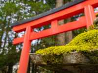 Hakone Shrine