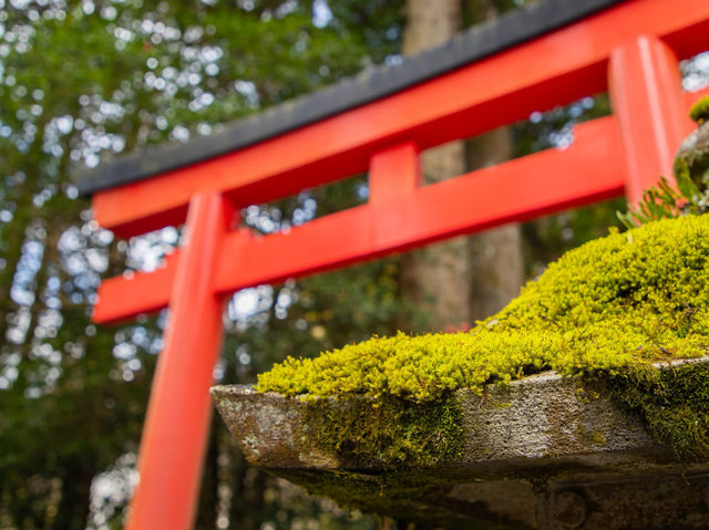 Hakone Shrine