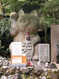 วัดนันโซอิน Fukuoka ญี่ปุ่น พระนอนองค์ใหญ่ที่สุด