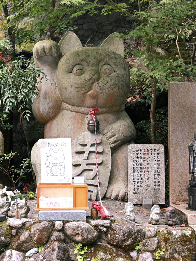 วัดนันโซอิน Fukuoka ญี่ปุ่น พระนอนองค์ใหญ่ที่สุด