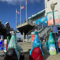 Nice trip @ Pier39 San Francisco