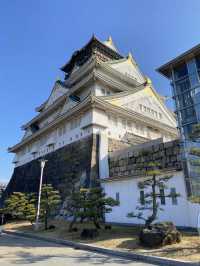 天守閣からの眺めはまるで天下人になった気分
